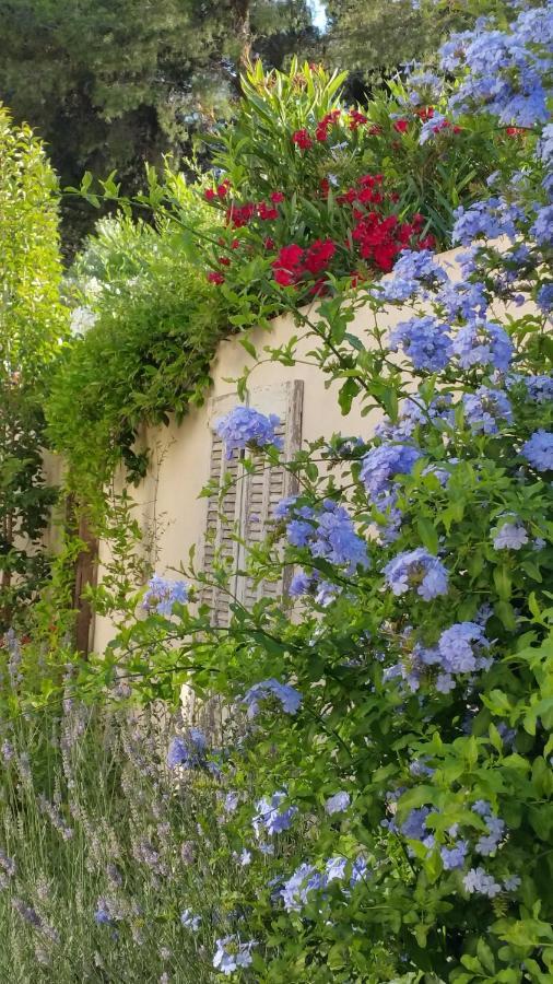 Gite Le Felibre Châteauneuf-lès-Martigues Extérieur photo